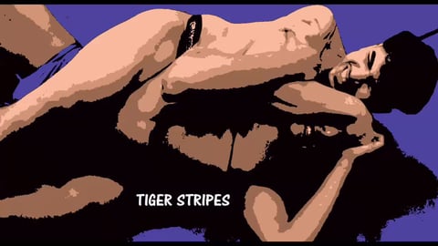 Tiger Stripes