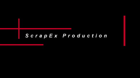 ScrapEx 11 