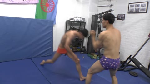 Beemat Fives 6.0 - Double