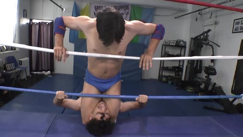 Ring Flyers