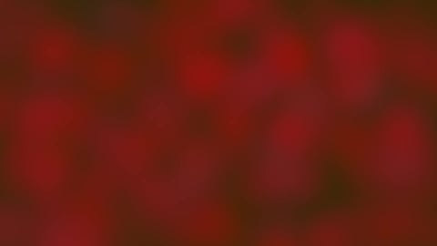 The Blood