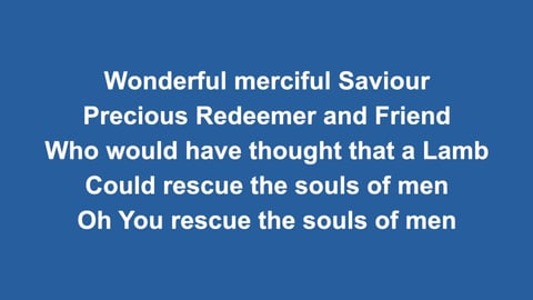 Wonderful Merciful Saviour