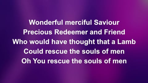 Wonderful Merciful Saviour