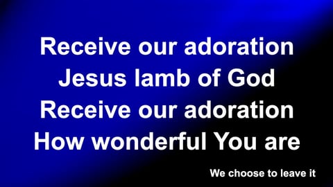 Adoration (Acoustic)