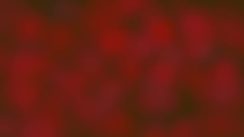 The Blood