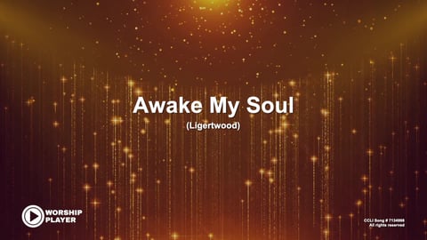 Awake My Soul (Acoustic)