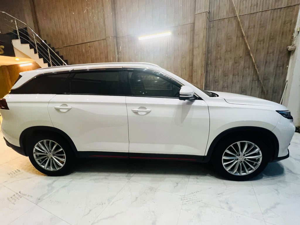 Changan Oshan X7 2024 photo 4