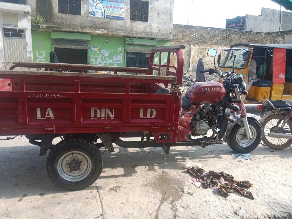 Lal Din LD Cargo 150 CC 2021 photo 2