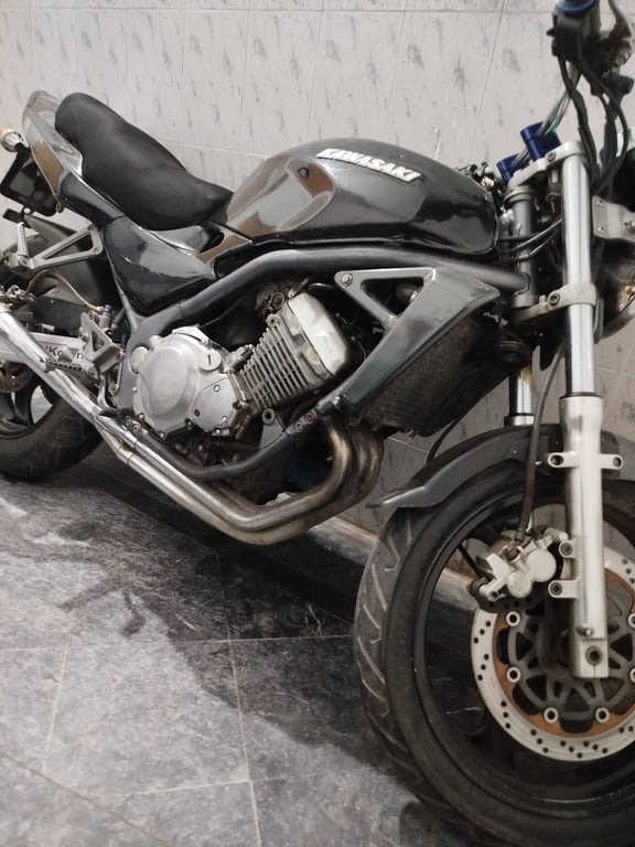 Kawasaki BALIUS ZR250 1992 photo 2