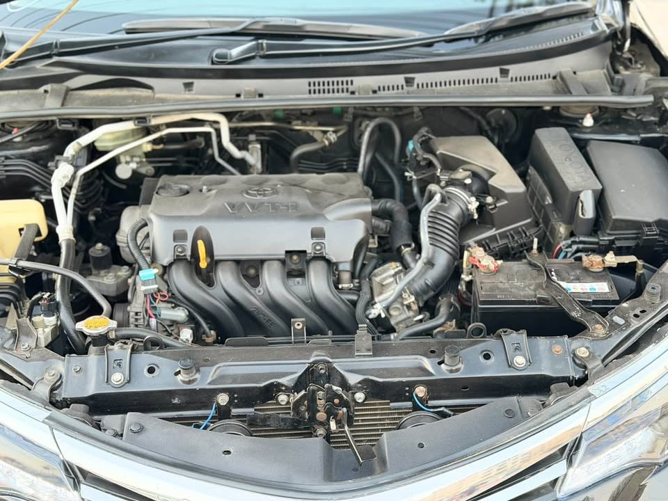 Toyota Corolla 2019 photo 2