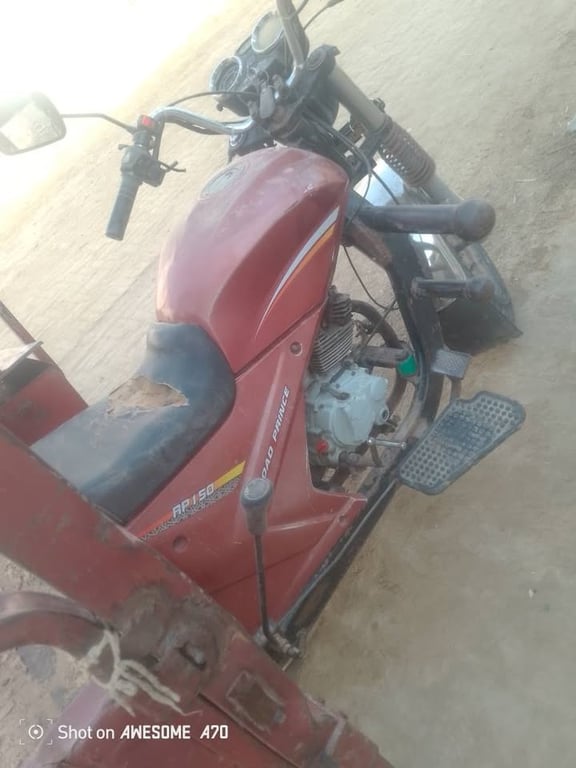 Road Prince ATV Loader (200cc) 2022 photo 3