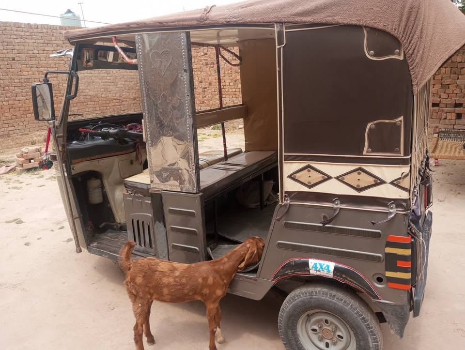 Sazgar Auto Rickshaw 2020 photo 4