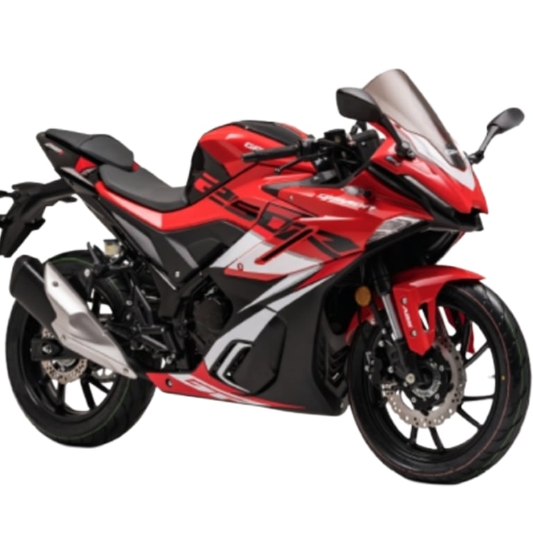 Demon GR 250 R
