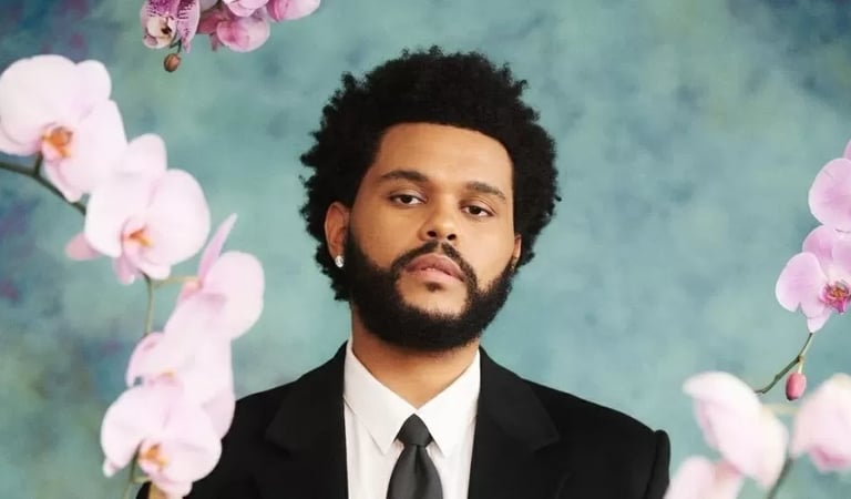 The Weeknd tranquiliza fãs após perder a voz durante o show