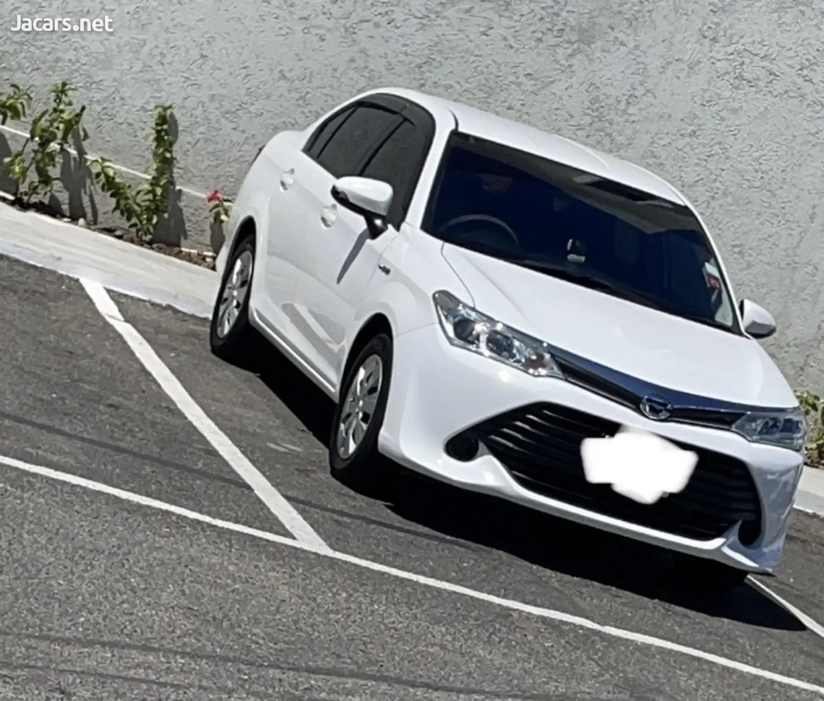 2015 TOYOTA Axio