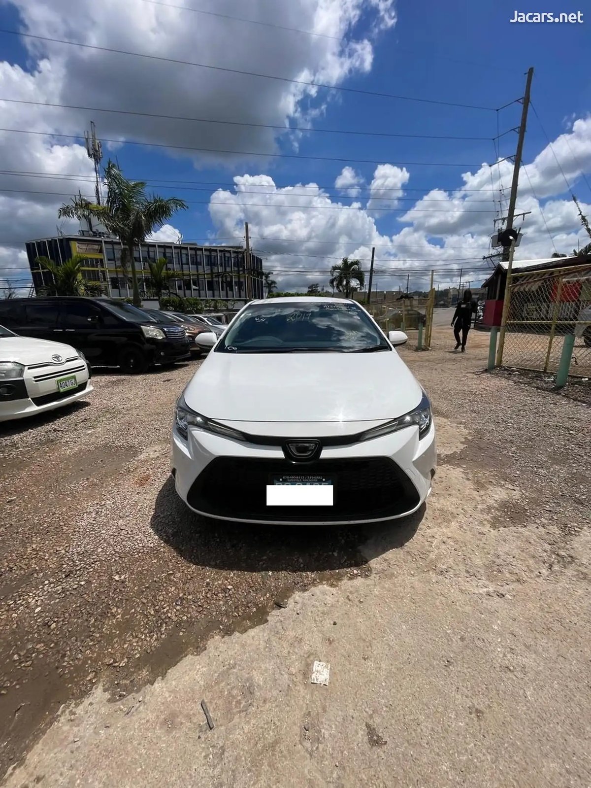 2019 TOYOTA Corolla