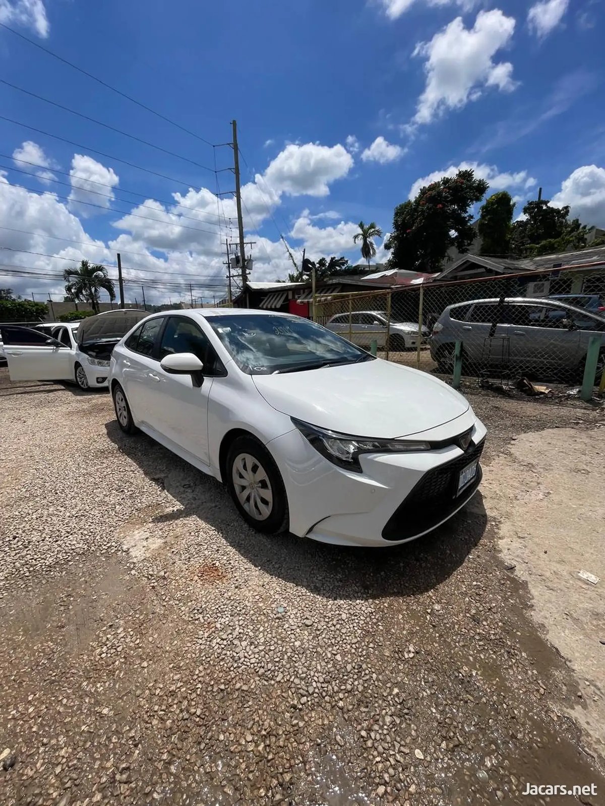 2019 TOYOTA Corolla