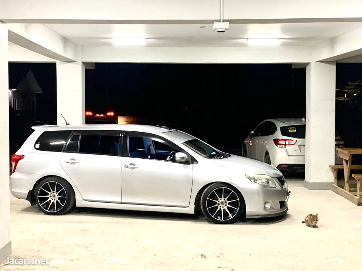 2010 TOYOTA Fielder