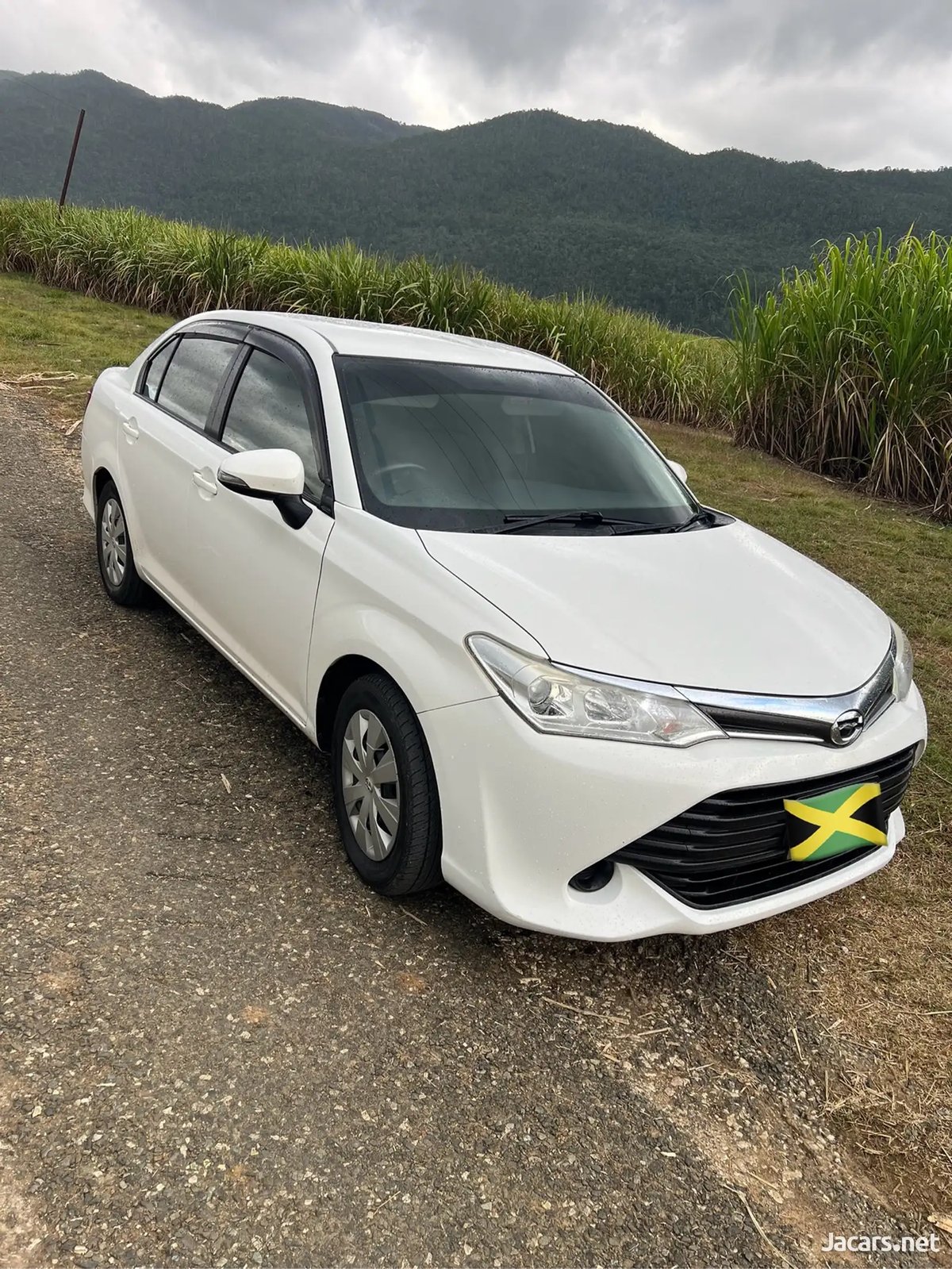 2016 TOYOTA Axio