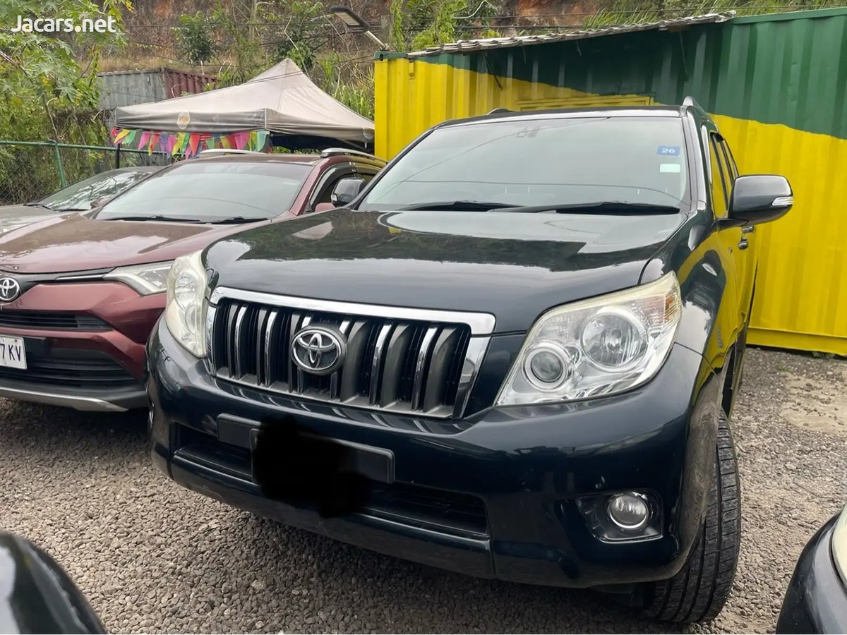 2010 TOYOTA Land