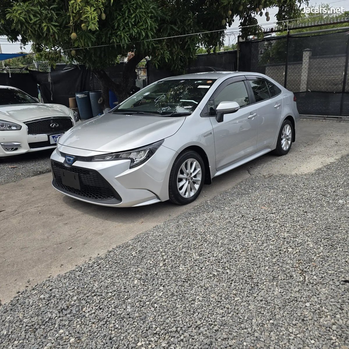 2020 TOYOTA Corolla