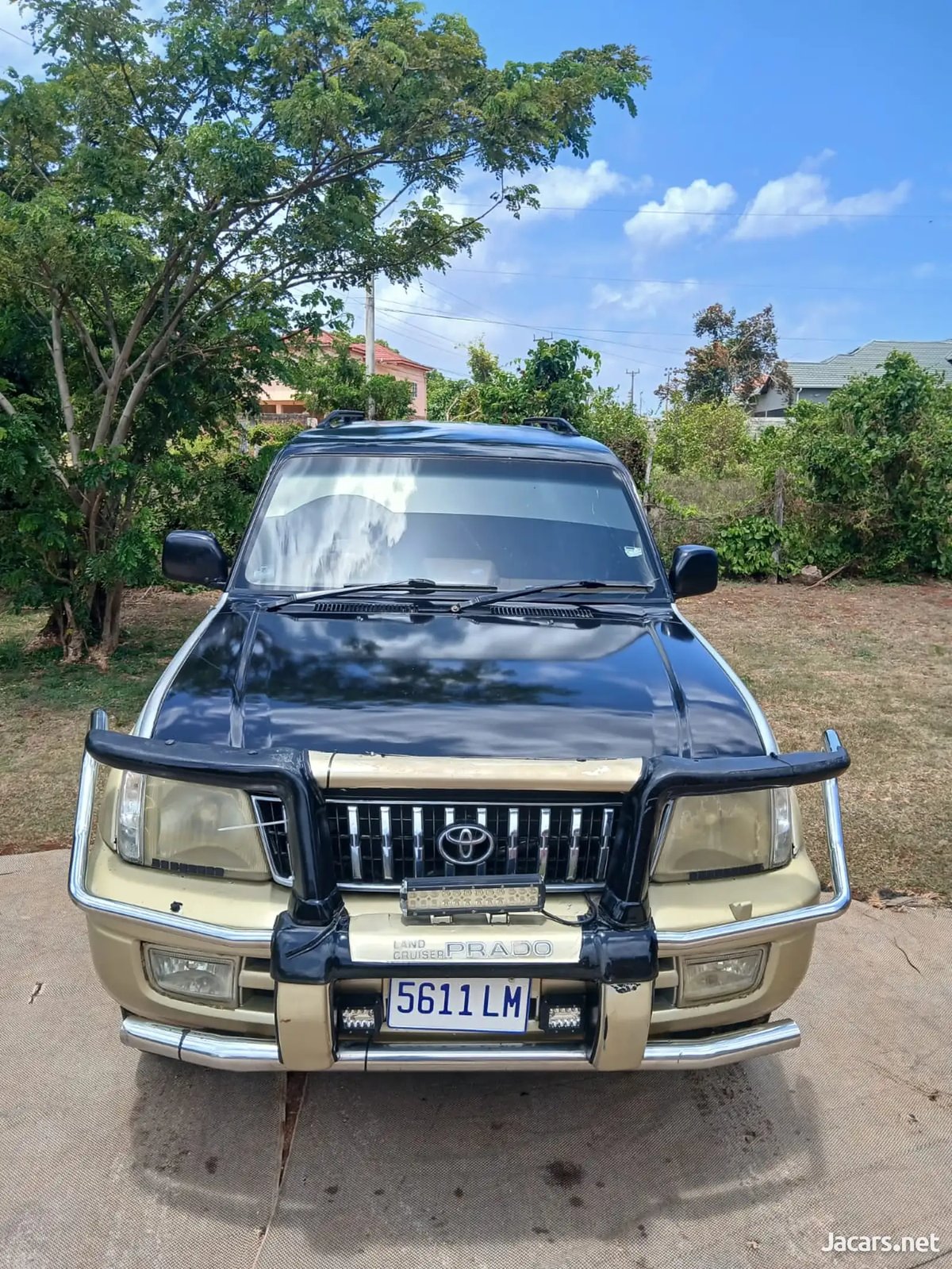 2001 TOYOTA Land