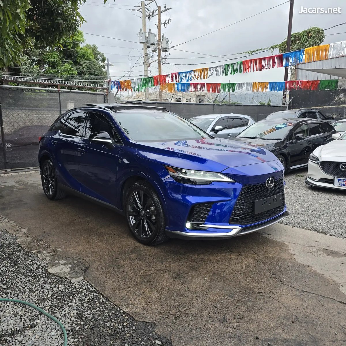 2025 LEXUS RX