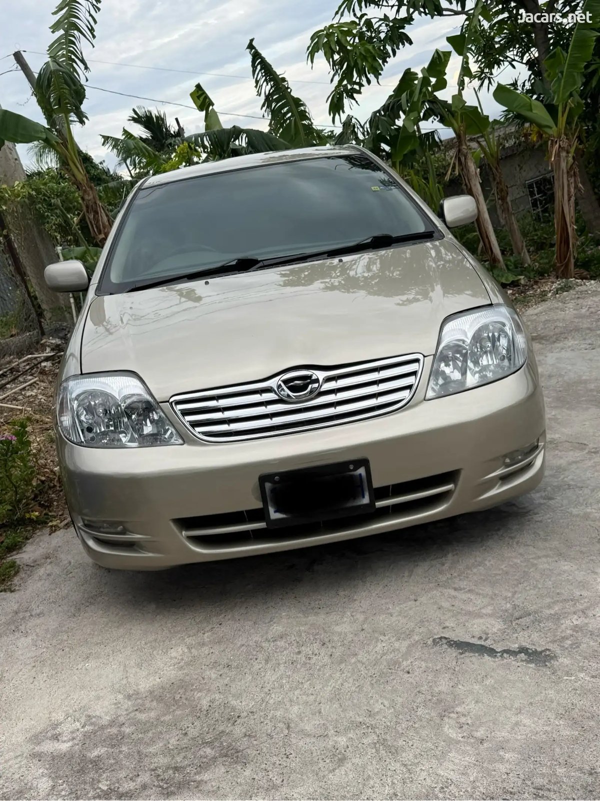 2003 TOYOTA Corolla