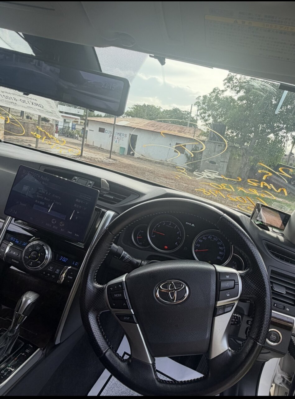 2016 TOYOTA mark x