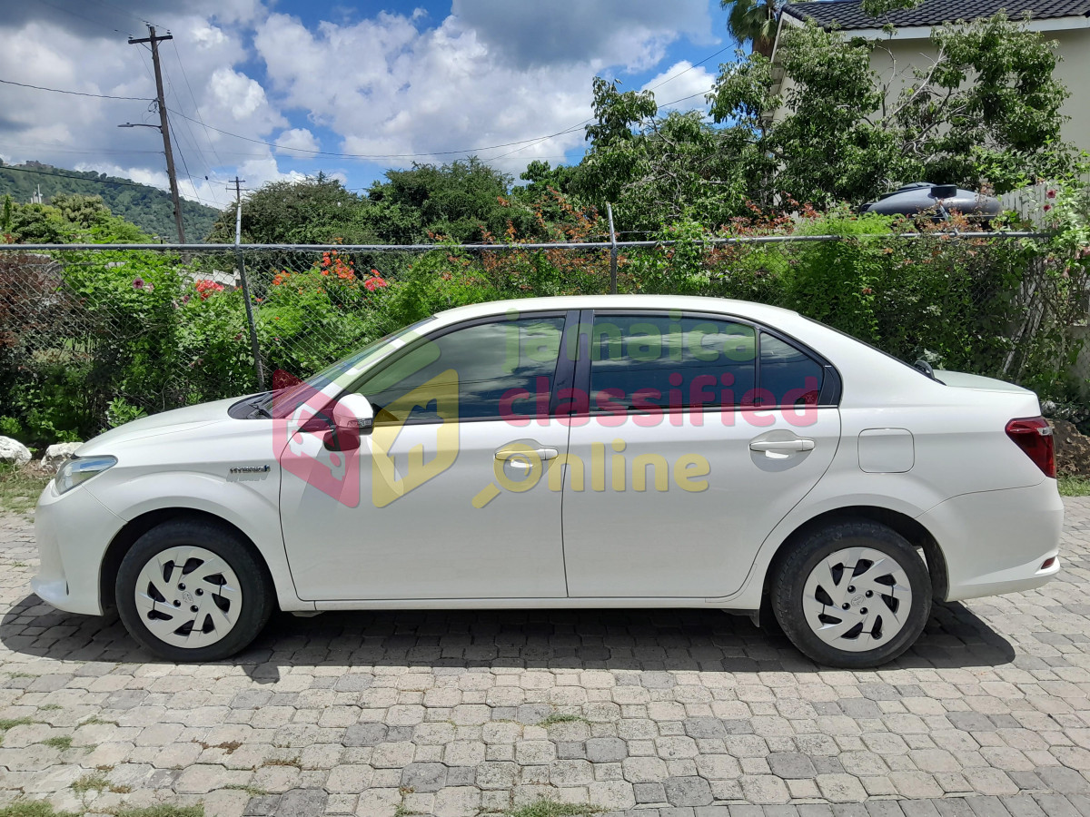 2019 TOYOTA Corolla Axio