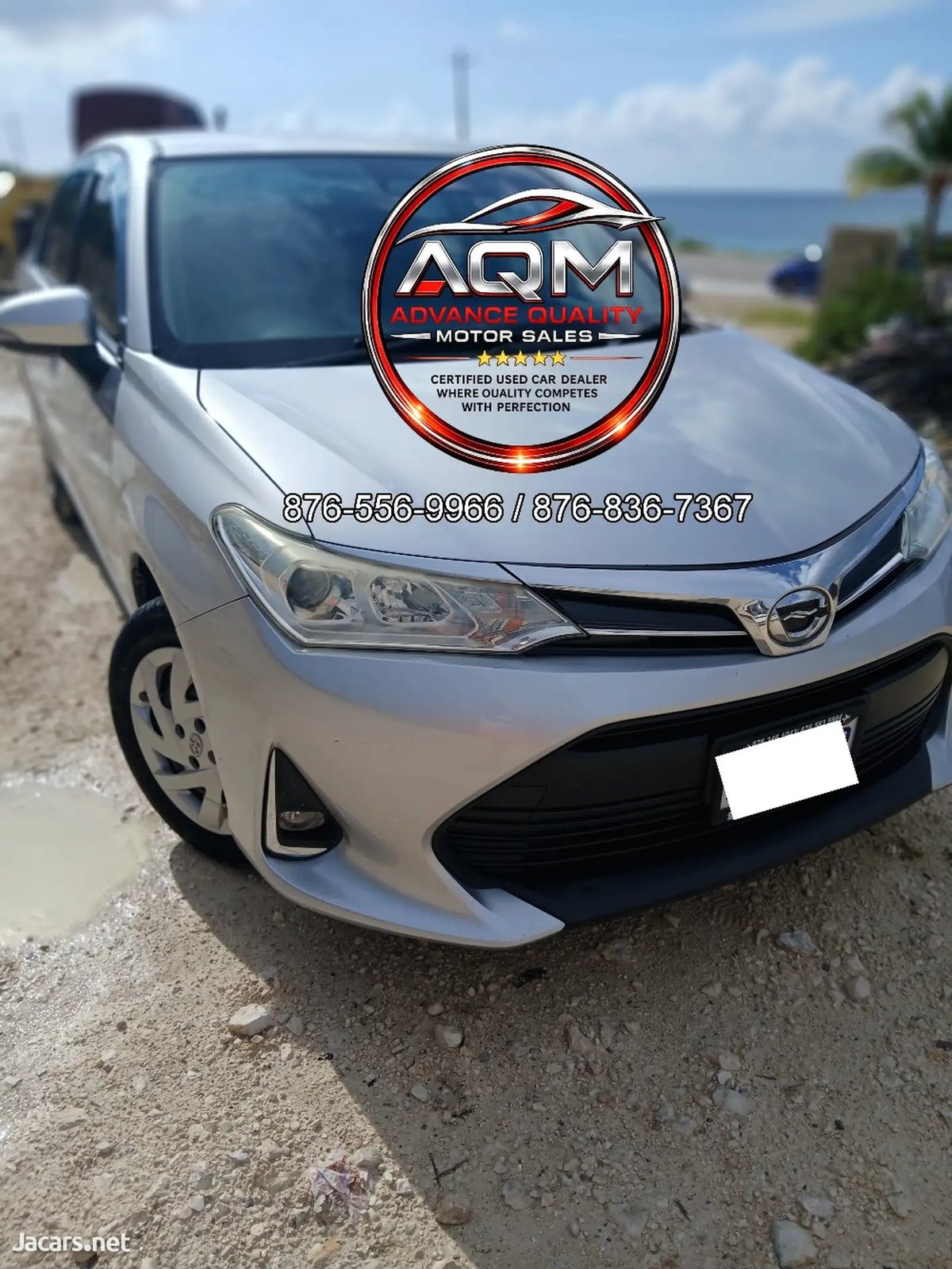 2018 TOYOTA Axio