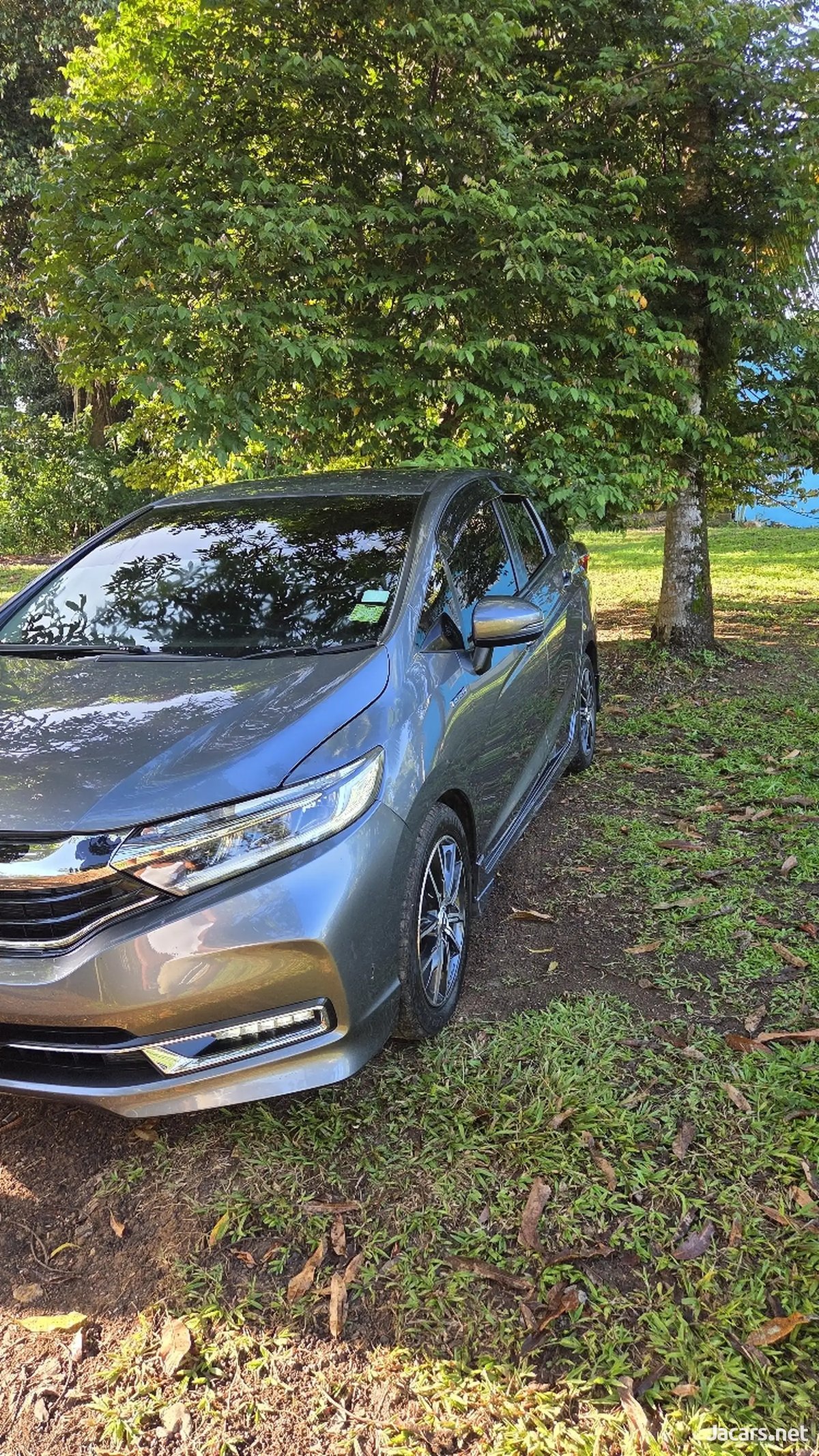 2019 HONDA Fit