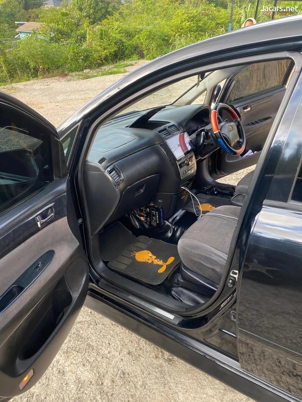 2009 TOYOTA Ipsum