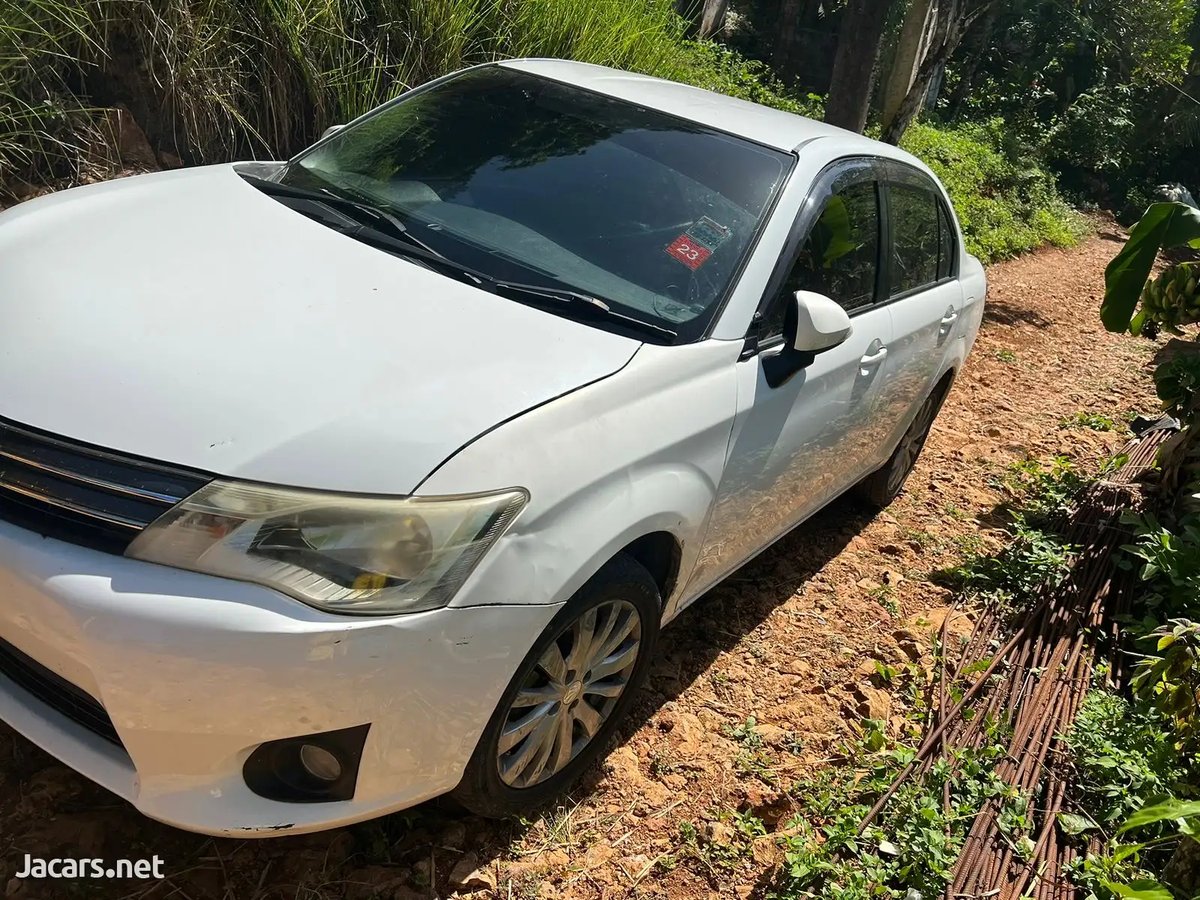 2013 TOYOTA Axio