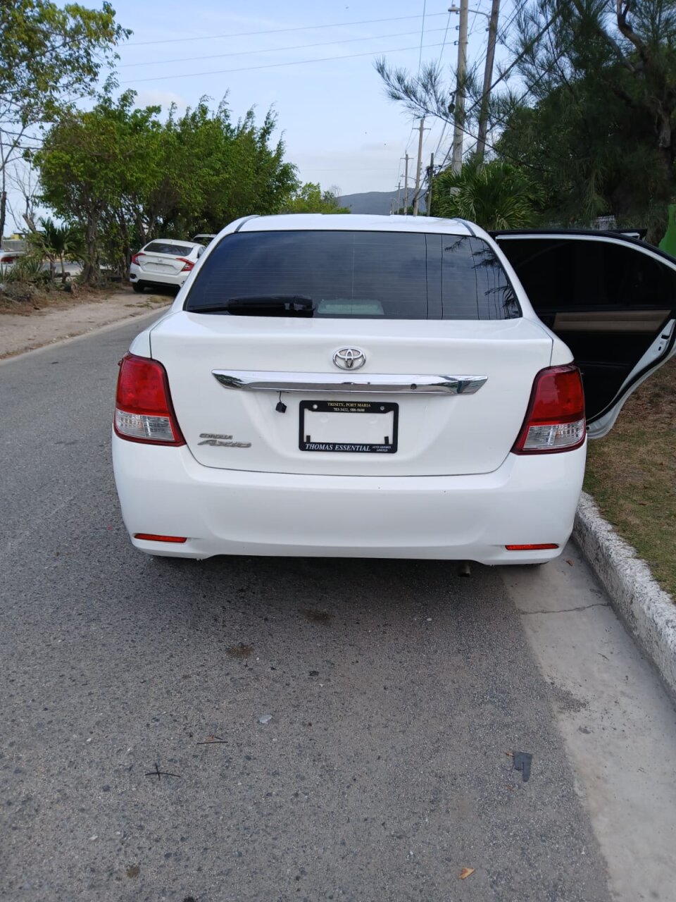 2015 TOYOTA Axio