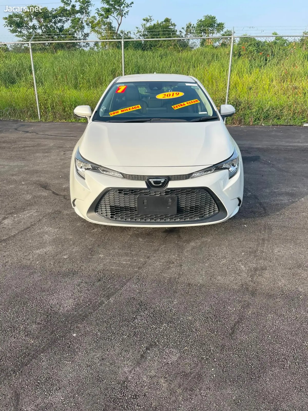2019 TOYOTA Corolla