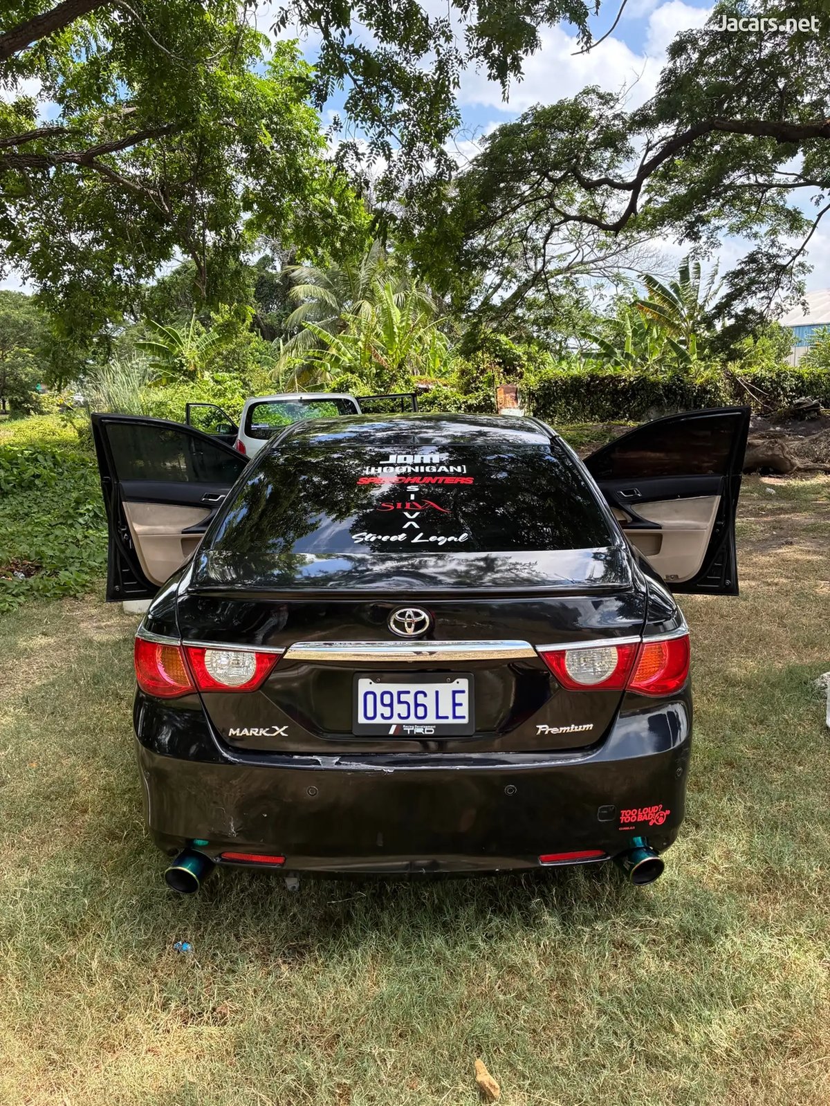2010 TOYOTA Mark