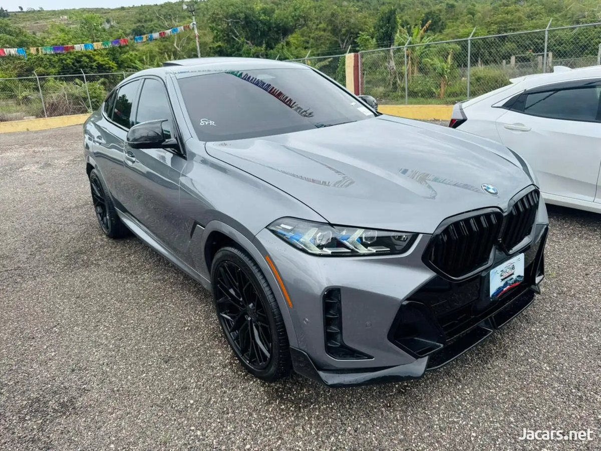 2024 BMW X6
