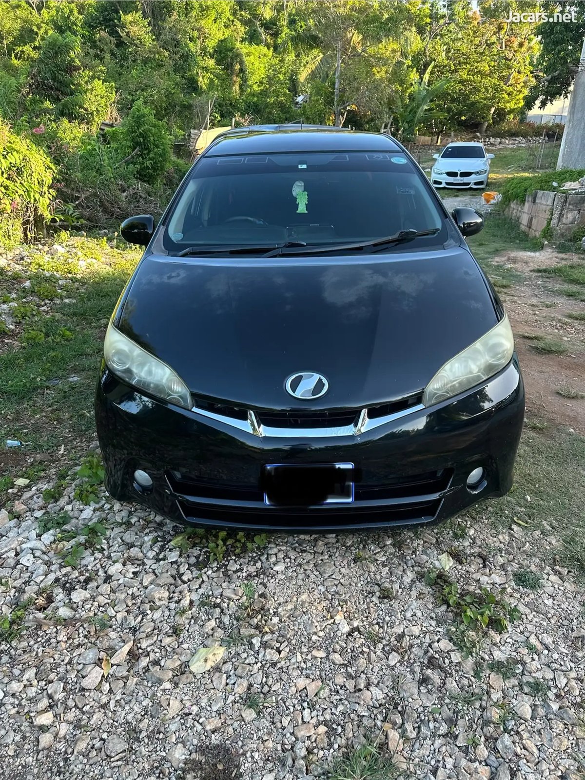 2010 TOYOTA Wish
