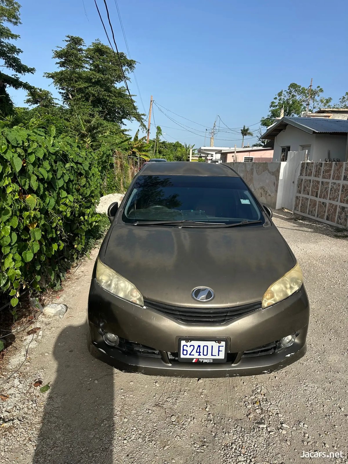 2010 TOYOTA Wish