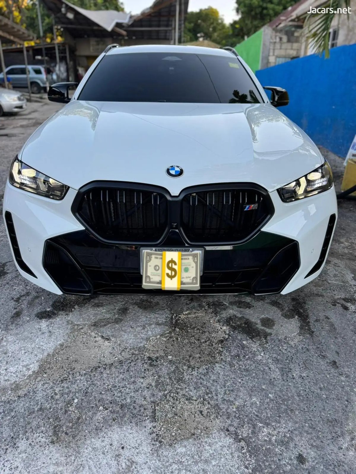 2025 BMW X6