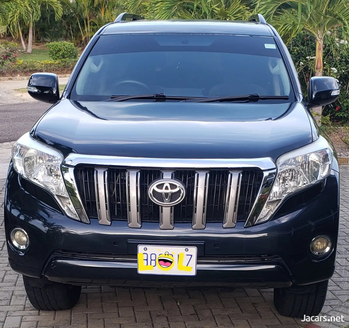 2013 TOYOTA Prado