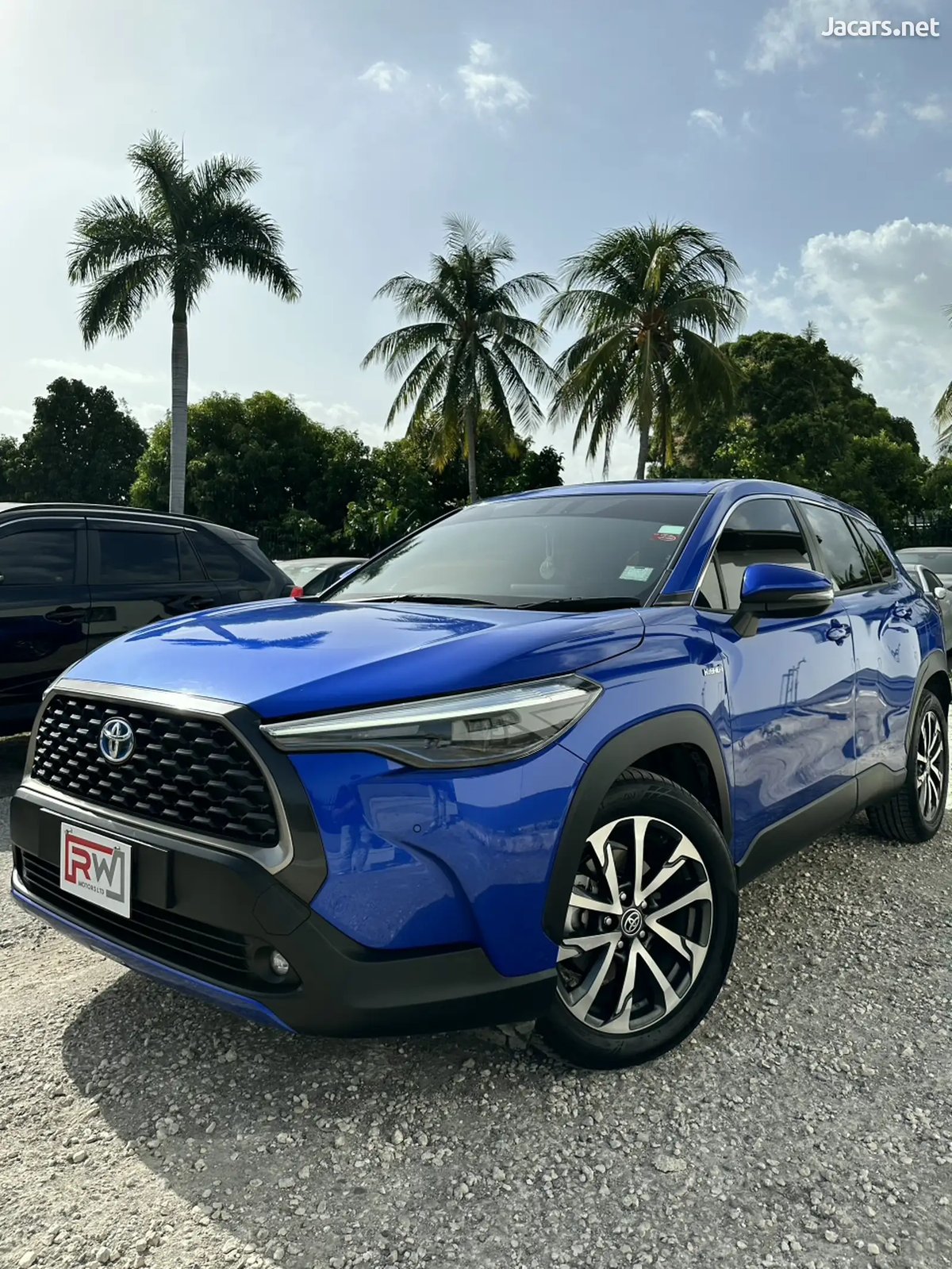 2023 TOYOTA Corolla