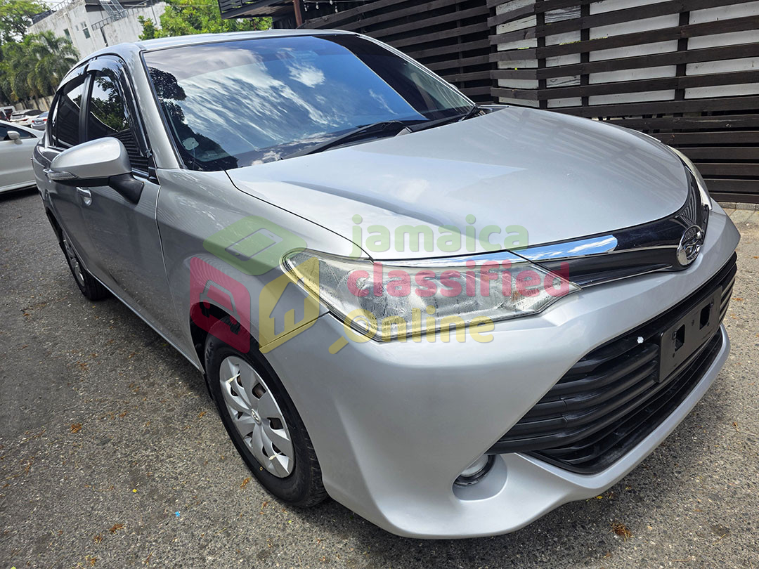 2015 TOYOTA Axio
