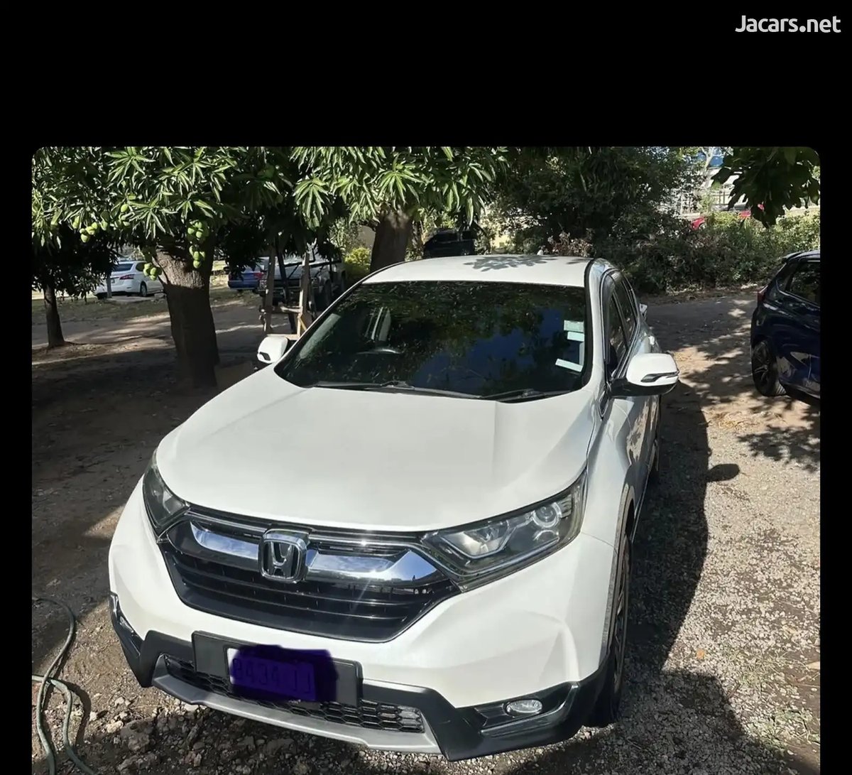 2019 HONDA CR-V