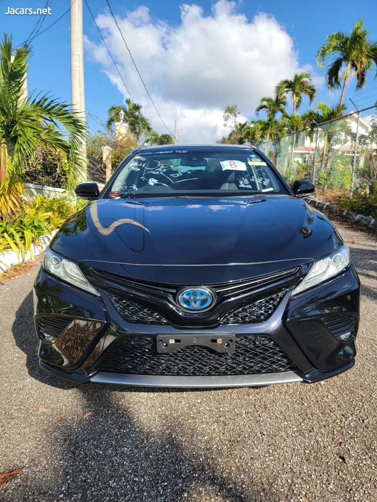 2019 TOYOTA Camry