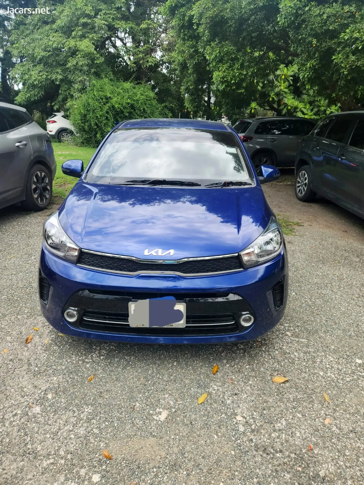 2024 KIA Soluto