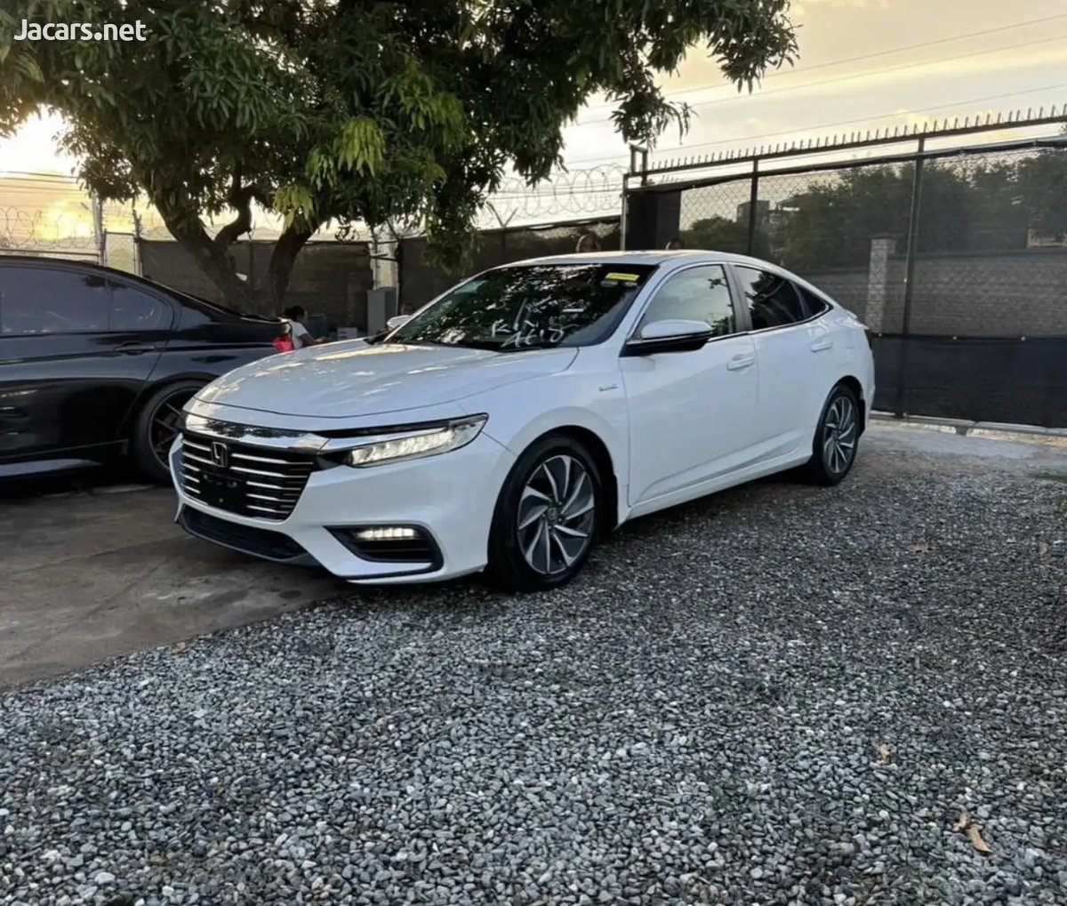 2019 HONDA Insight