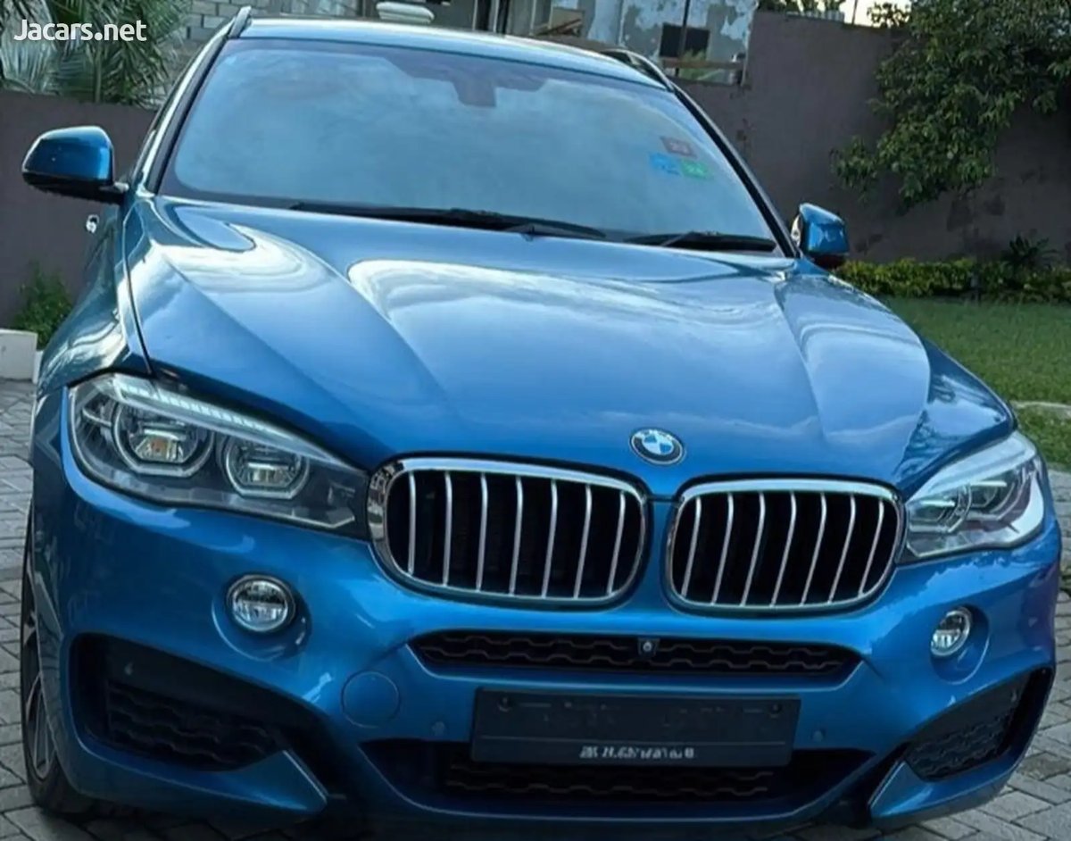 2019 BMW X6