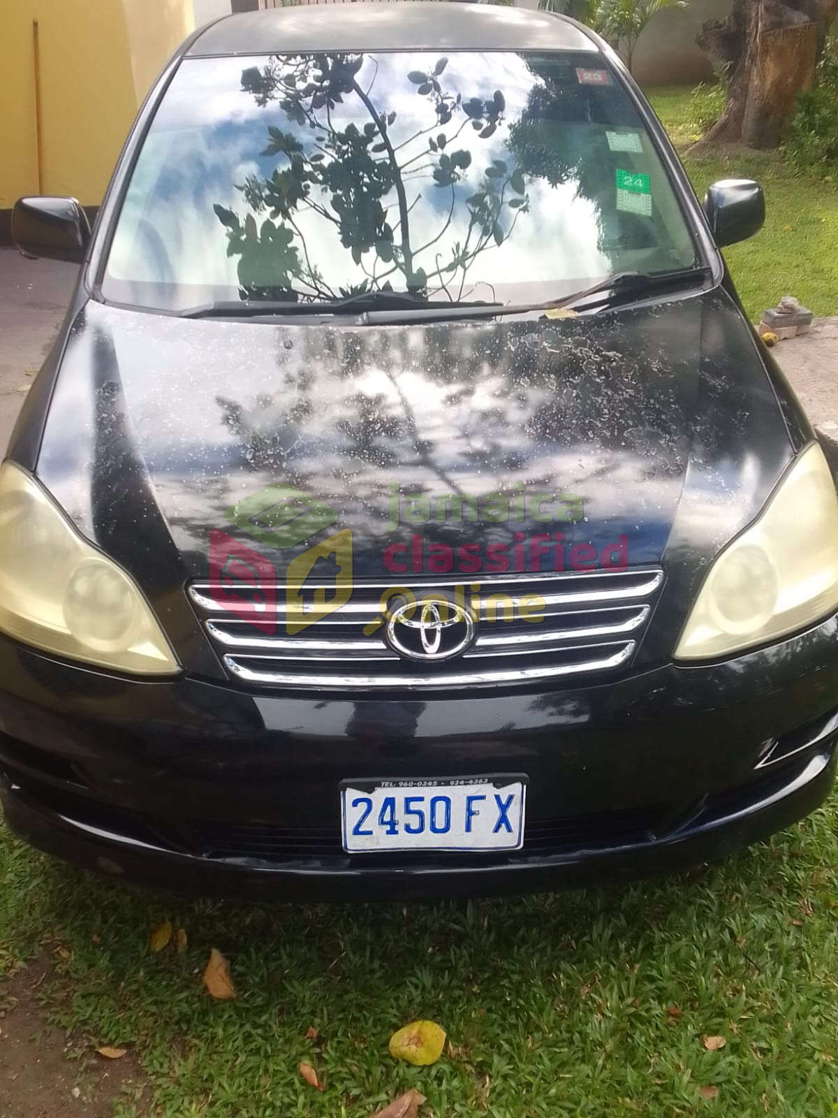 2007 TOYOTA Ipsum